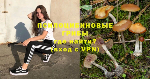 молекула духа Алзамай