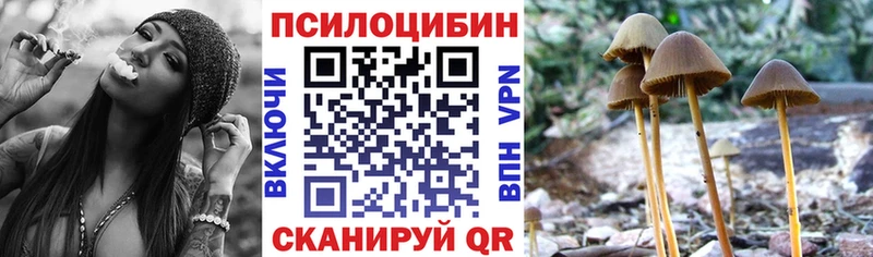 Псилоцибиновые грибы Cubensis  Стерлитамак 